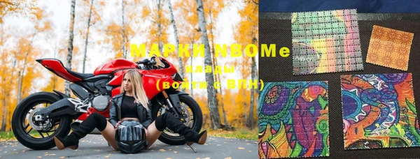 мдпв Рославль